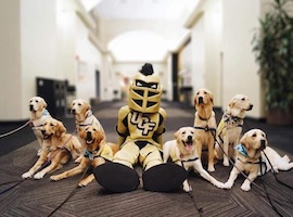 UCF mascot and dogs